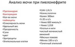 Какие анализы сдать при пиелонефрите и цистите
