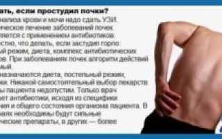 Что выпить, когда сильно болят почки