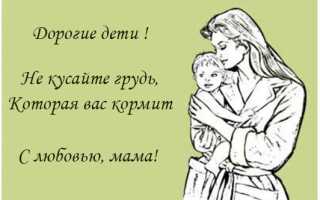 Почему ребенок кусает грудь во время кормления и как отучить его это делать?