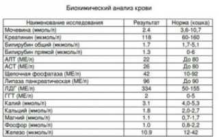 Как обозначается в анализах крови креатинин