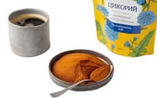 Польза и вред цикория для здоровья