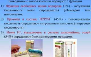 Кислотность мочи