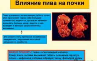 Как восстановить работу почек после алкоголя