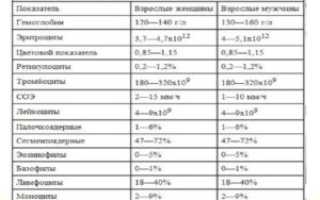 Анализ крови у женщин