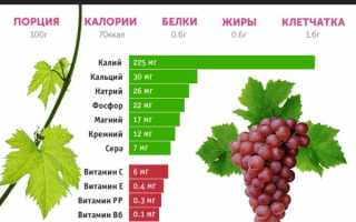 Виноград кишмиш польза и вред для организма человека калорийность, противопоказания к употреблению