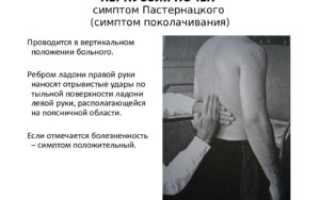 Перкуссия почек в норме