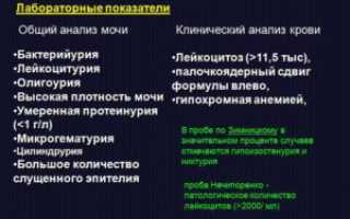 Показатели общего анализа мочи при остром пиелонефрите