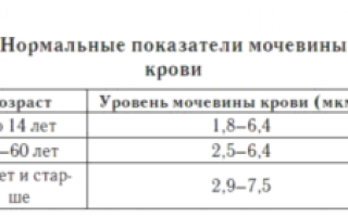Мочевина в крови