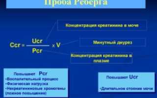 Проба Реберга