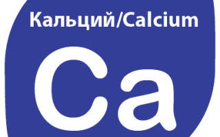 В каких продуктах содержится много кальция / Calcium (Ca)