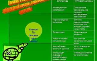 Профилактика болезней мочевыделительной системы
