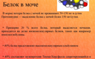 Белок в моче у женщин