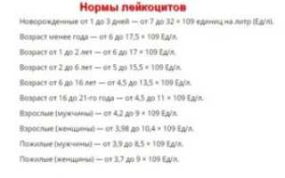 Лейкоциты в моче у мужчин