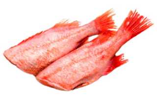 Морской окунь вред и польза для организма