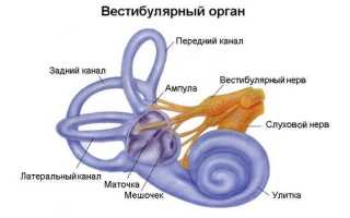 Доброкачественное головокружение (ДППГ)