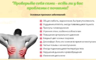 Как распознать боль в почках