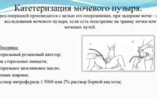 Алгоритм постановки мочевого катетера женщине