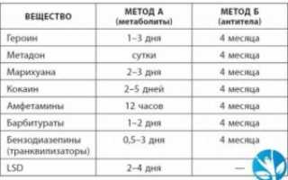 Сколько держится канопля в моче и в крови