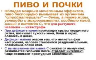 Можно ли пить алкоголь, когда камни в почках
