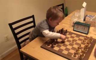 Учим ребенка играть в шахматы с нуля