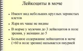 Лейкоциты в моче у ребенка