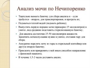 Алгоритм моча по нечипоренко
