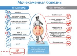 Боль в почках и рвота что это