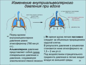 Болит почка слева при вдохе