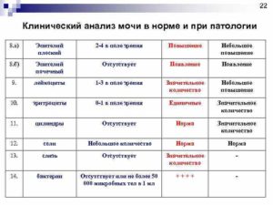 Эпителий плоский в моче норма у мужчин