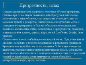 Если моча пахнет чесноком что это