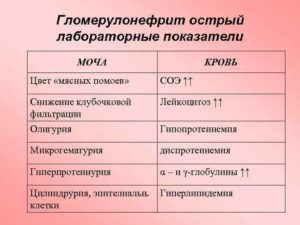Гломерулонефрит анализы крови и мочи
