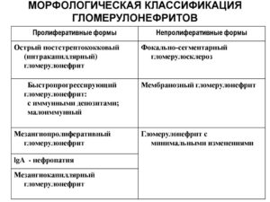 Гломерулонефрит классификация терапия