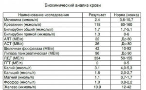 Как обозначается в анализах крови креатинин в