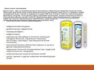 Как повысить белок в моче