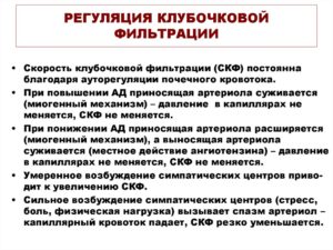 Как повысить клубочковую фильтрацию почек медикаментозно