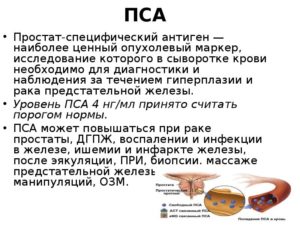 Как снизить пса в крови