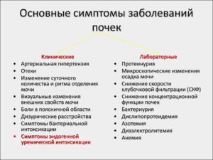Как узнать если больные почки