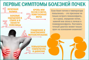 Как узнать если больные почки