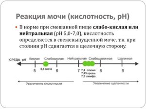 Кислотность мочи 5 что это значит