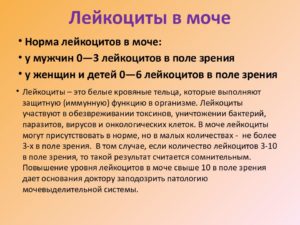 Лейкоциты 2 4 в моче у ребенка