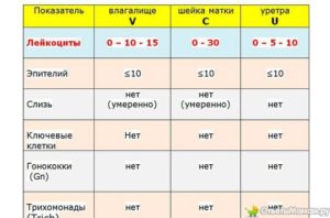 Лейкоциты в уретре у женщин