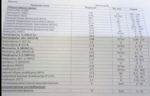 Лимфоциты повышены в моче у взрослого о чем это говорит
