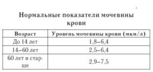 Мочевина в крови выше нормы