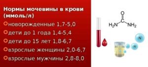 Мочевина в крови выше нормы