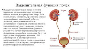 Нарушение экскреторной функции левой почки