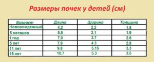 Норма лоханки почки у ребенка 6 лет