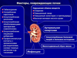 Почему болят почки после еды