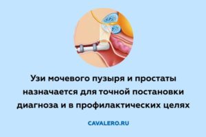 Подготовка к узи мочевого пузыря и простаты