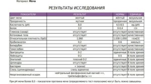 Повышенный белок в моче у мужчин