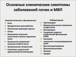 Признаки больных почек лечение